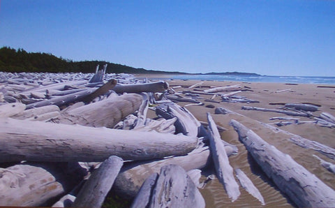 Combers Beach/Long Beach Summer (Limted Edition Print)