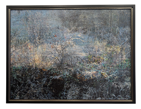 Frosty Field ii