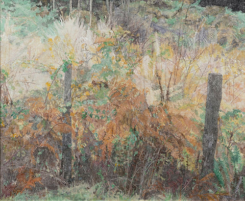 A View from My Window