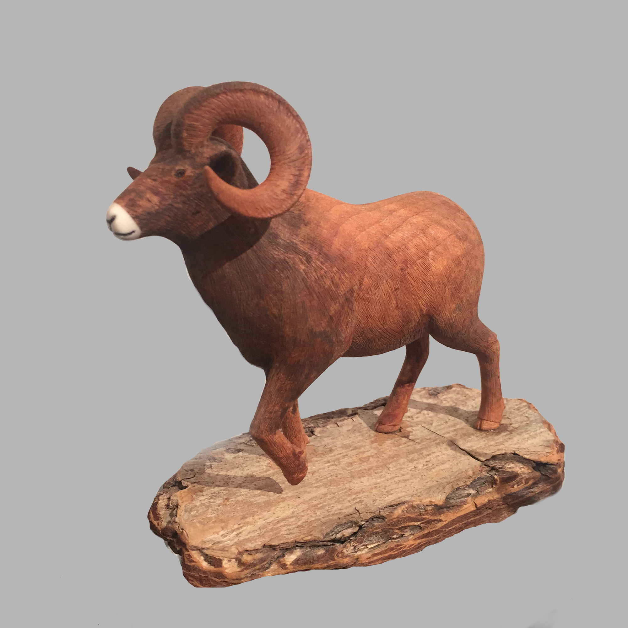 Bighorn Sheep Miniature Animal wood carving by Salt Spring Island artist Jim Dearing