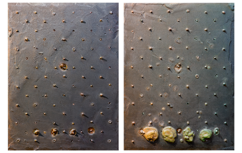 Chasing Shadows Series I and II Diptych