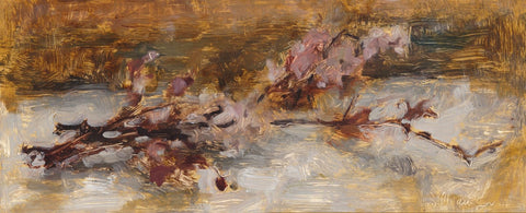 Cherry Blossoms 1