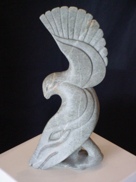 Hawk Shaman
