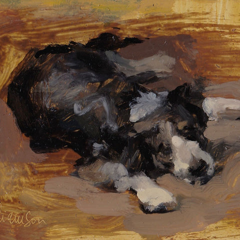 dog waiting oil on board by mel williamson salt spring island artist featuring boarder collie