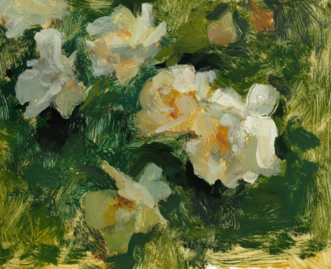 Esther's Roses