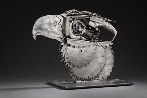Hawk Eye