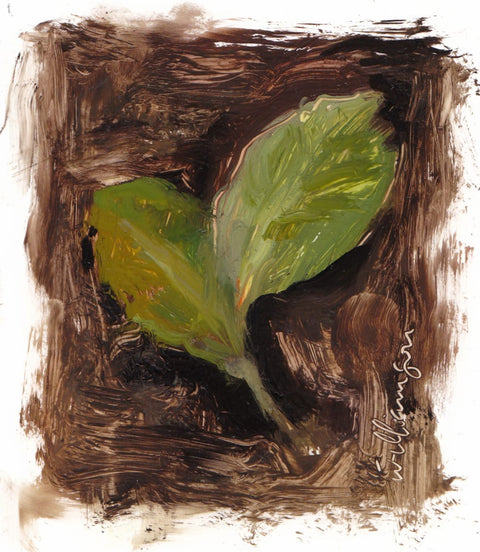 Leaves 2