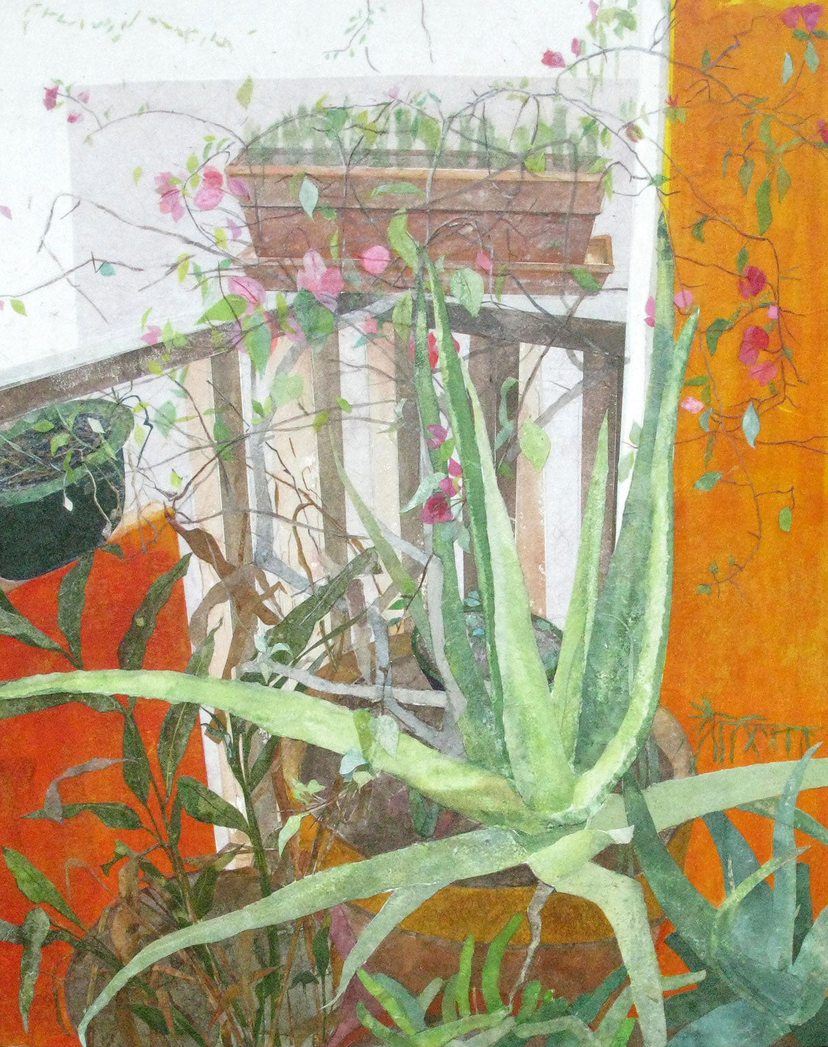 Mexican Aloe Vera – Steffich Fine Art
