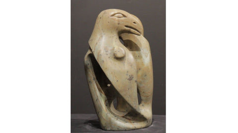 Awake Raven Dreaming Raven