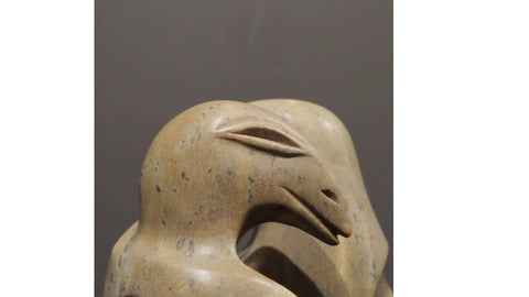 Awake Raven Dreaming Raven