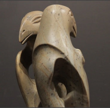 Awake Raven Dreaming Raven