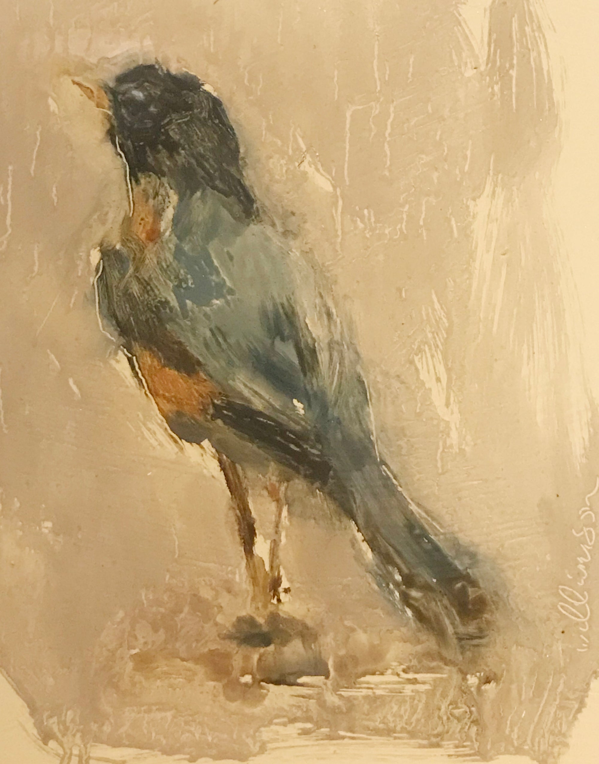 Early Bird (Robin)