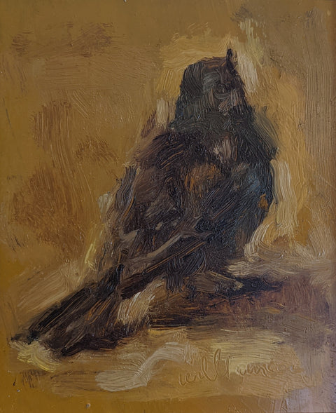 Little Bird