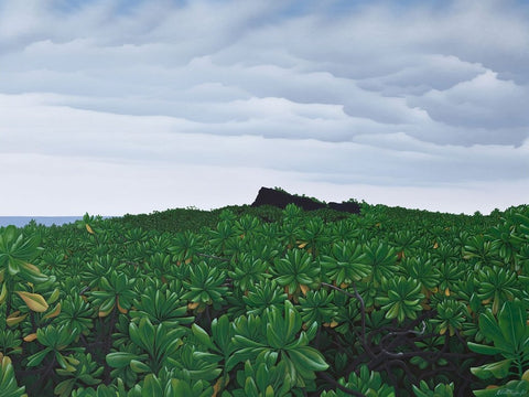 Naupaka At Foxes Landing