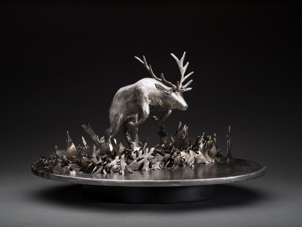 Celebrating the artwork of Peter McFarlane -Upcoming show at the Robert Bateman Center June 29th 2017