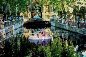 Master Cinematographer + Curious Genius = Robert Primes "Discoveries"