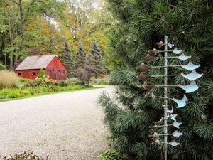 Star Dancer Horizontal