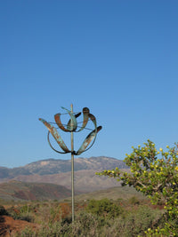 Wind Flower