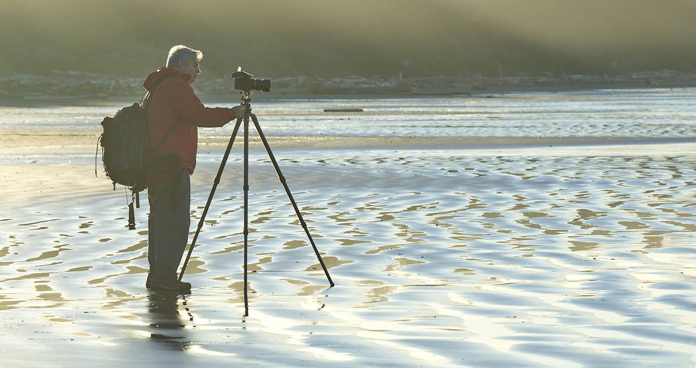 Three Birch Trees in Snow
