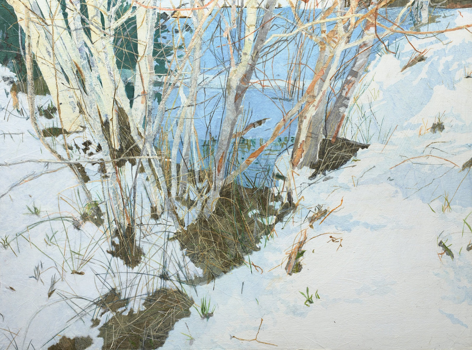 Alders and Winter