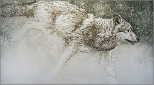 Loping Wolf