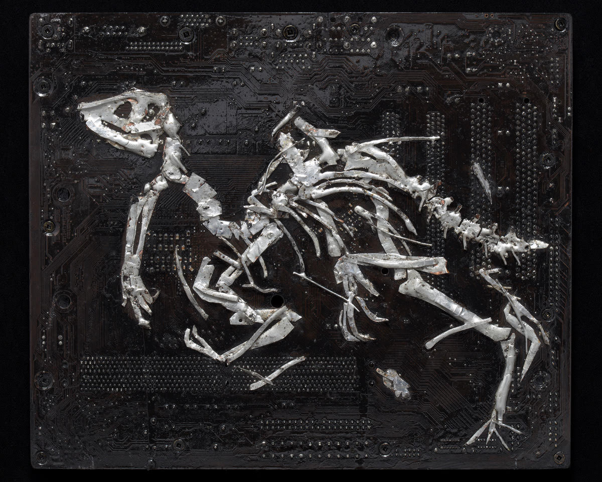 Obsolete and Extinct