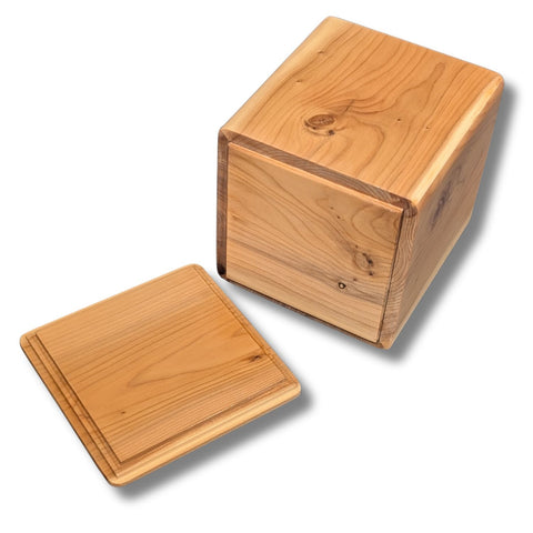Salt Spring Yew Wood Box