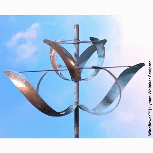 Wind Flower