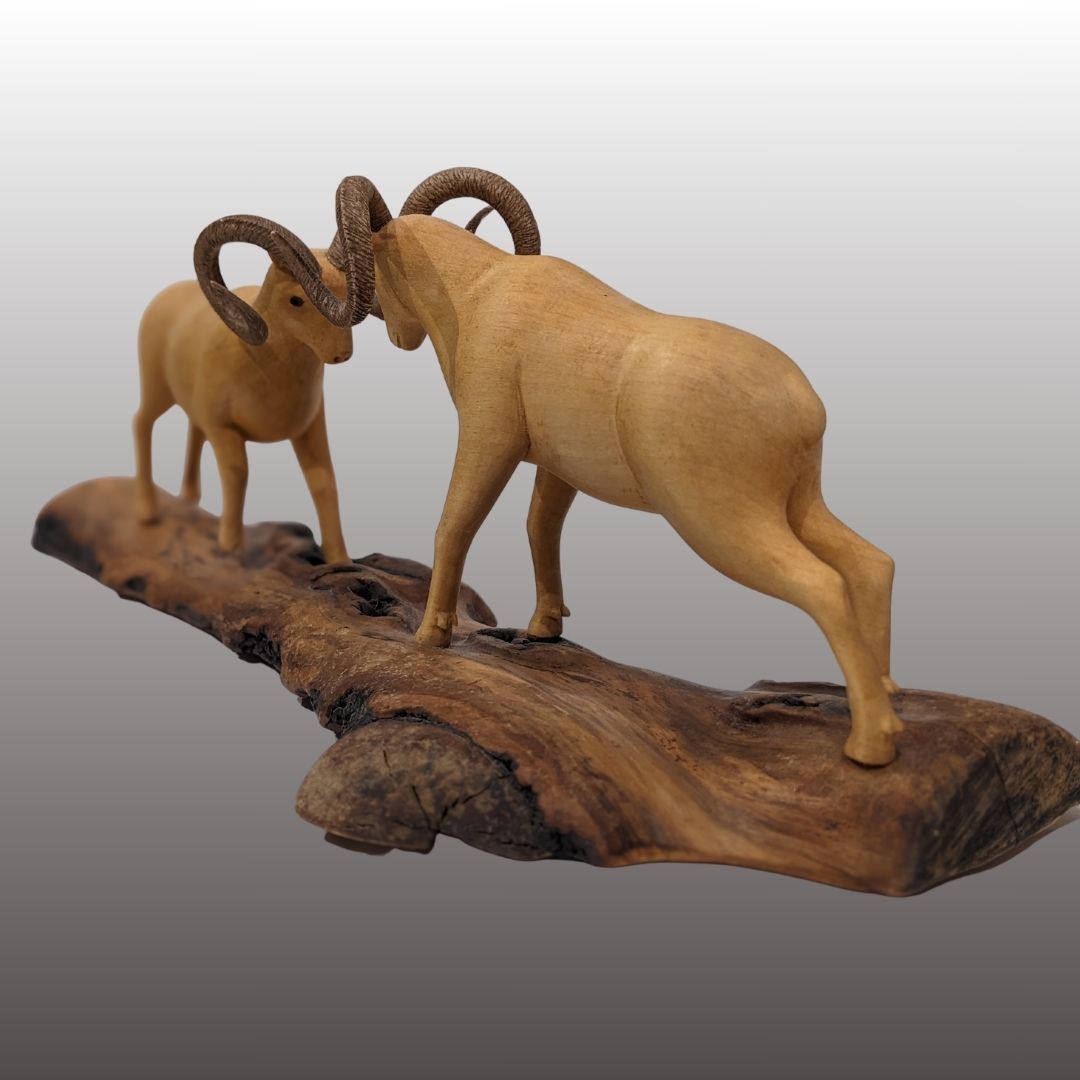 Dall Sheep Fighting Carving