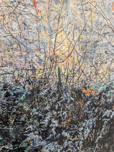 Frosty Field ii