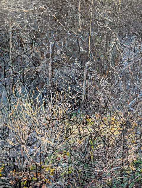 Frosty Field ii