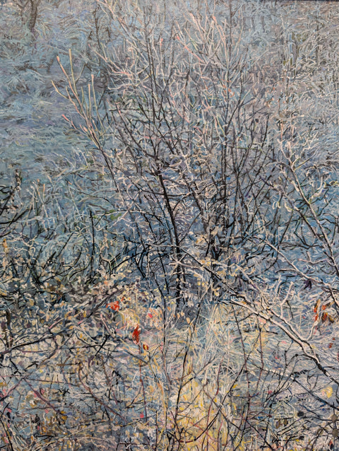 Frosty Field ii