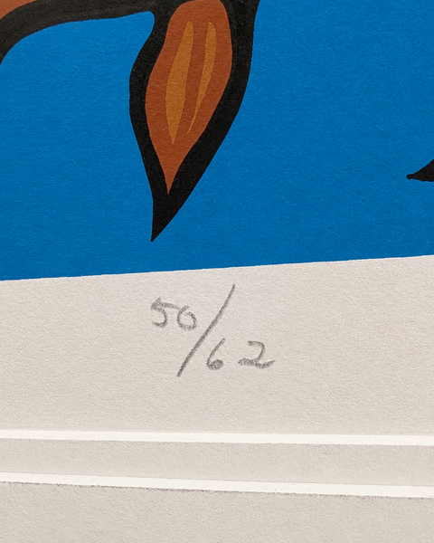The Visionary edition number 50 of 62