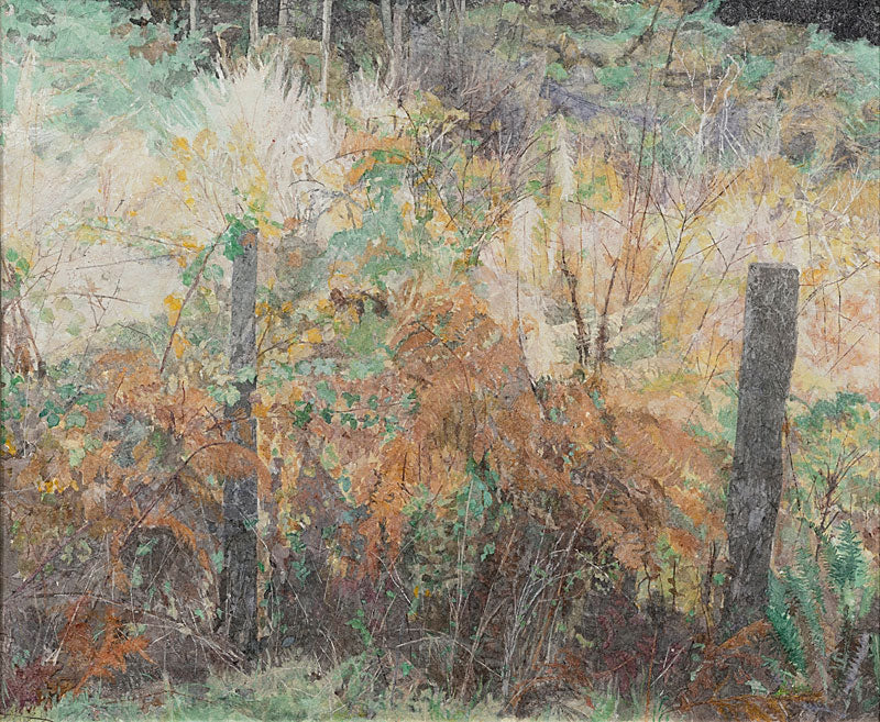 A View from My Window