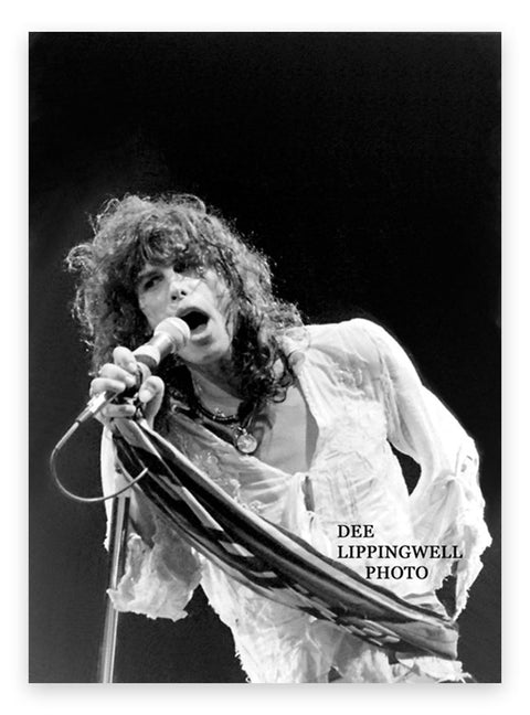 Aerosmith – Steven Tyler