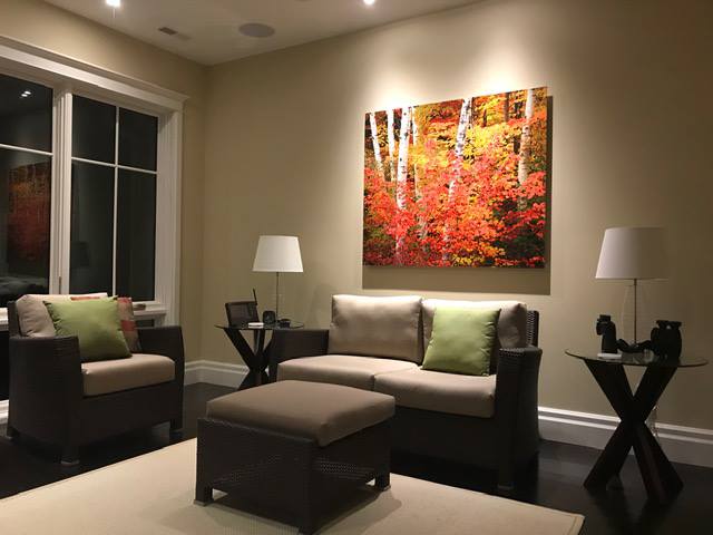 Birch And Crimson Maple