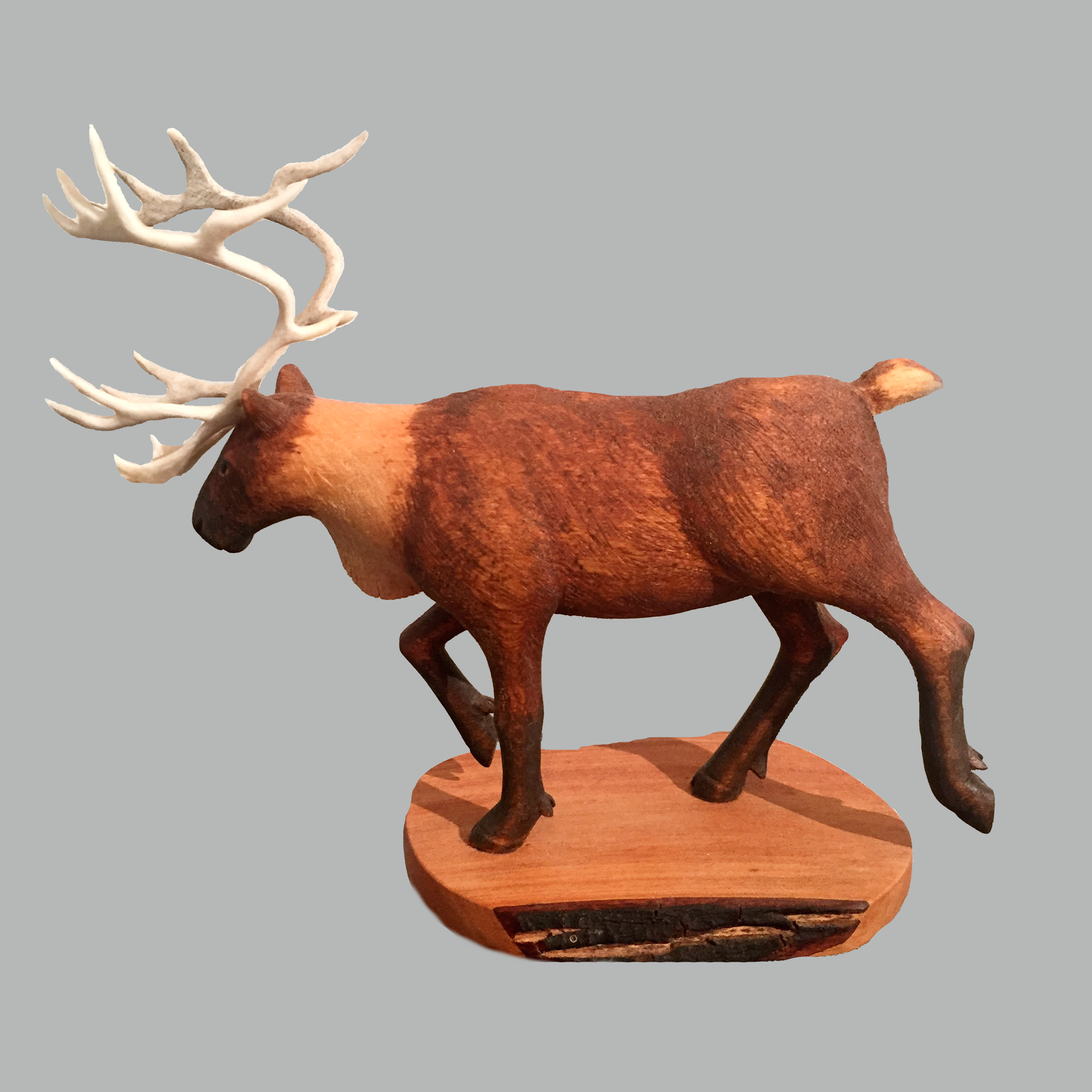 Caribou Miniature Animal wood carving by Salt Spring Island artist Jim Dearing