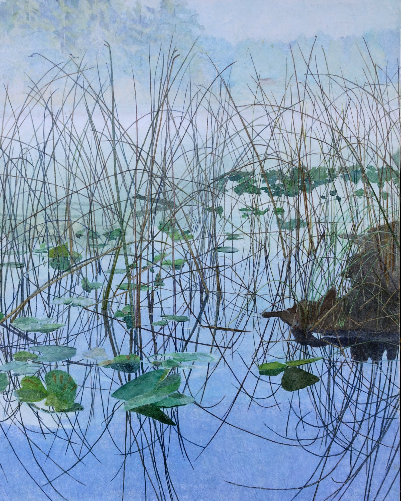 Stowel Lake Reflections