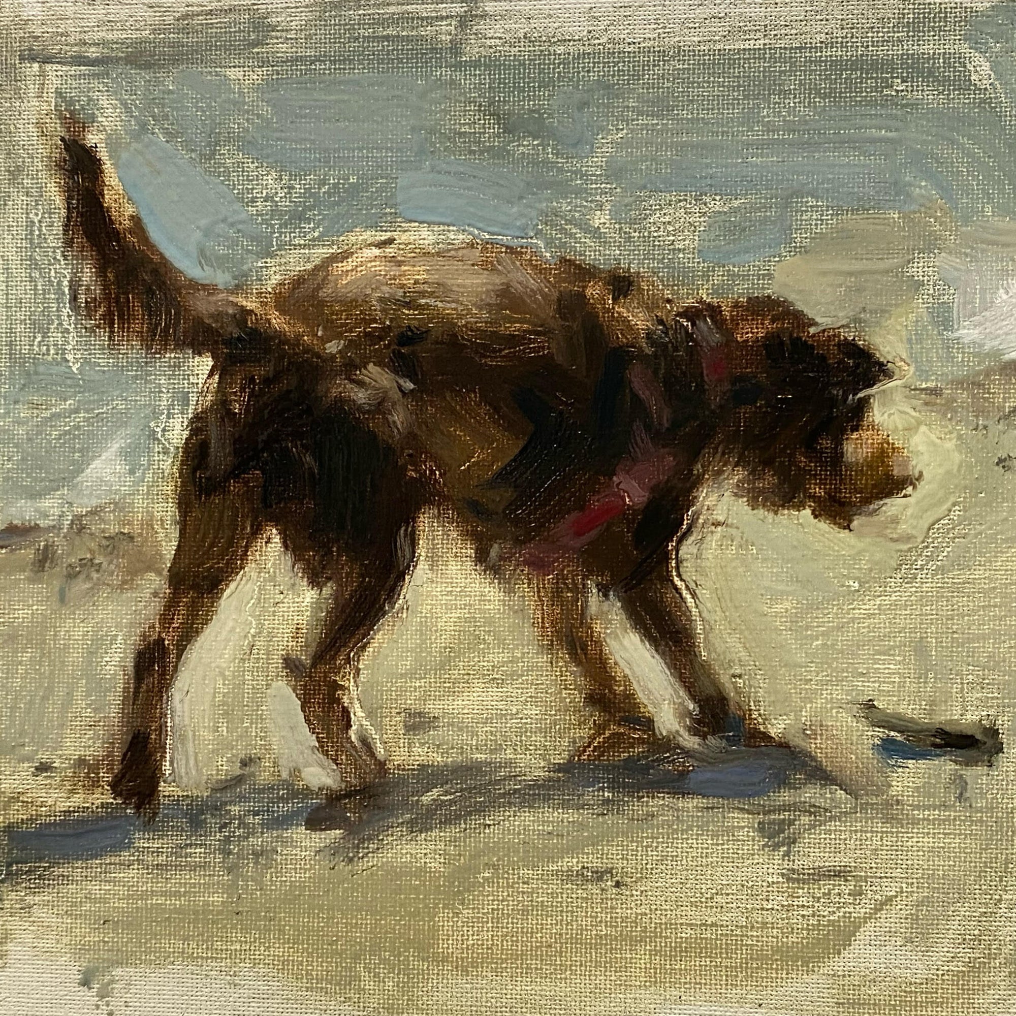 Beach Dog by Mel Williamson