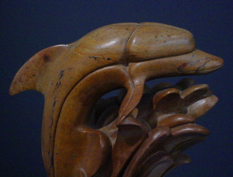 Dolphin