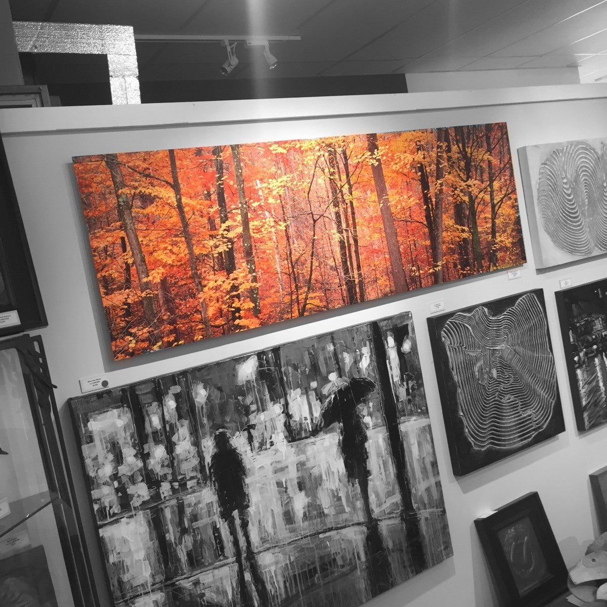 Golden Autumn Leaves, Gatineau Park