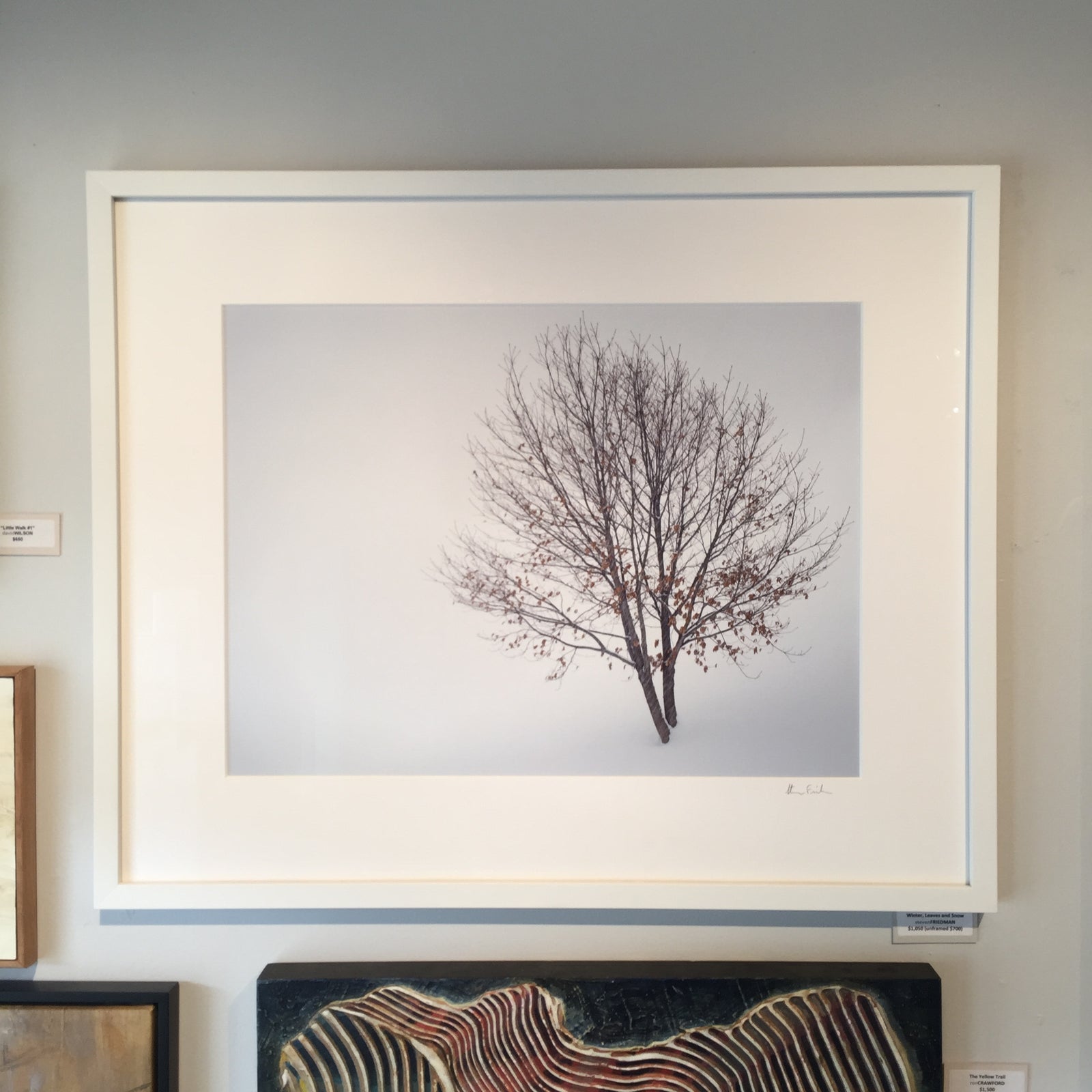 Winter Leaves and Snow