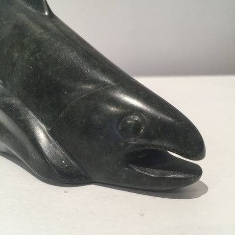 Salmon