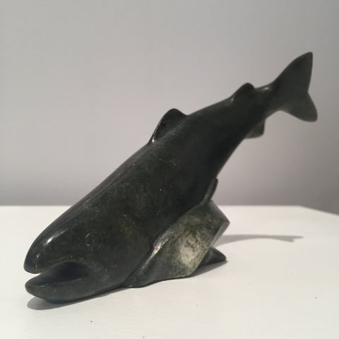 Salmon