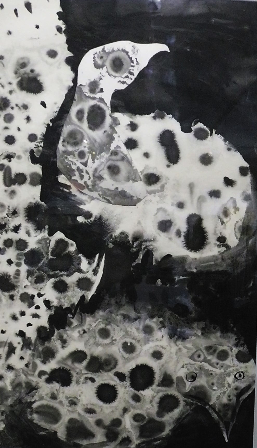 January Birds Jack Shadbolt