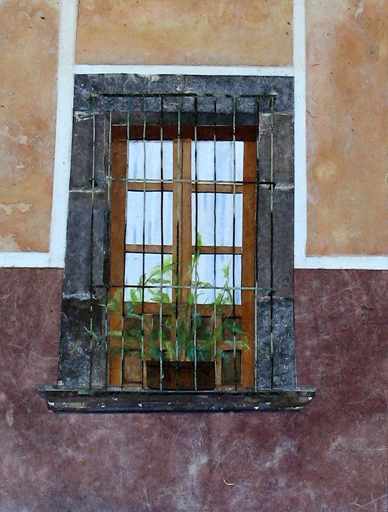 Mexican Window with Plant