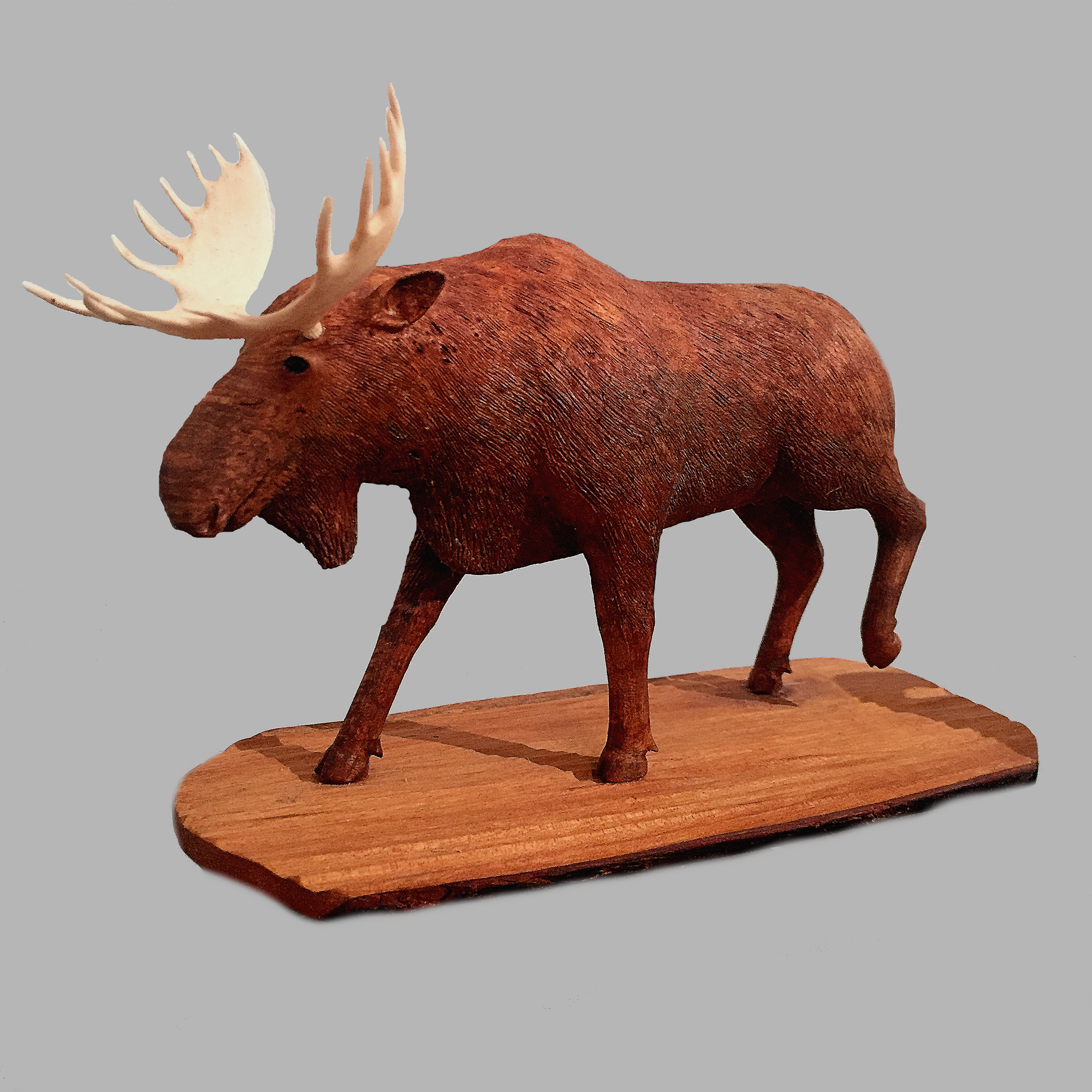 Moose Miniature Animal wood carving by Salt Spring Island artist Jim Dearing
