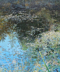 Pond Reflections