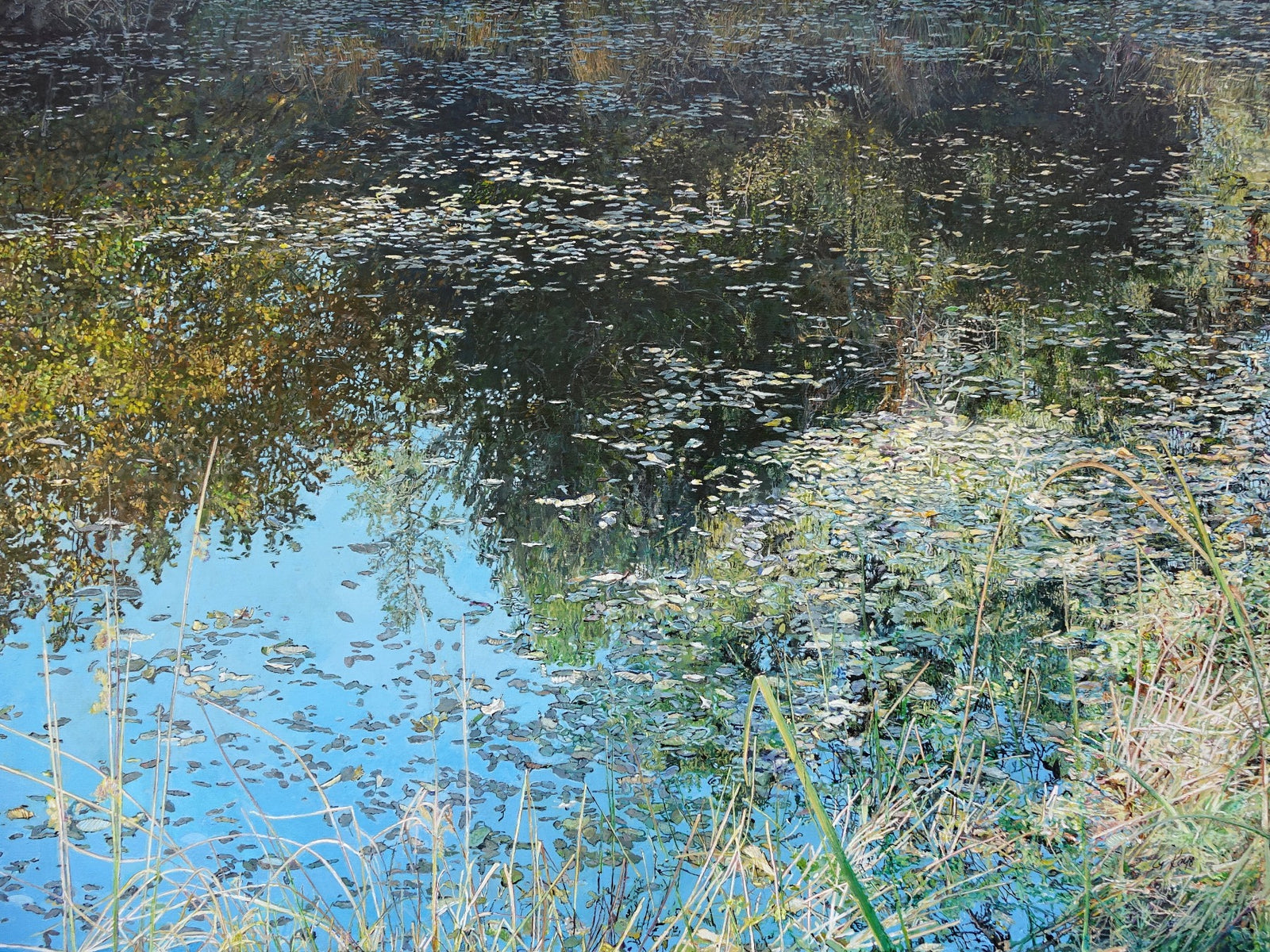 Pond Reflections