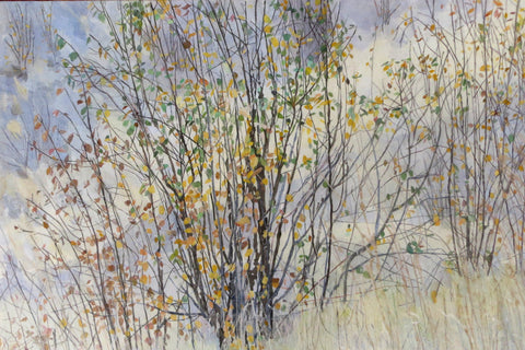 Bly Kaye Collage Paper Art Salt Spring Island